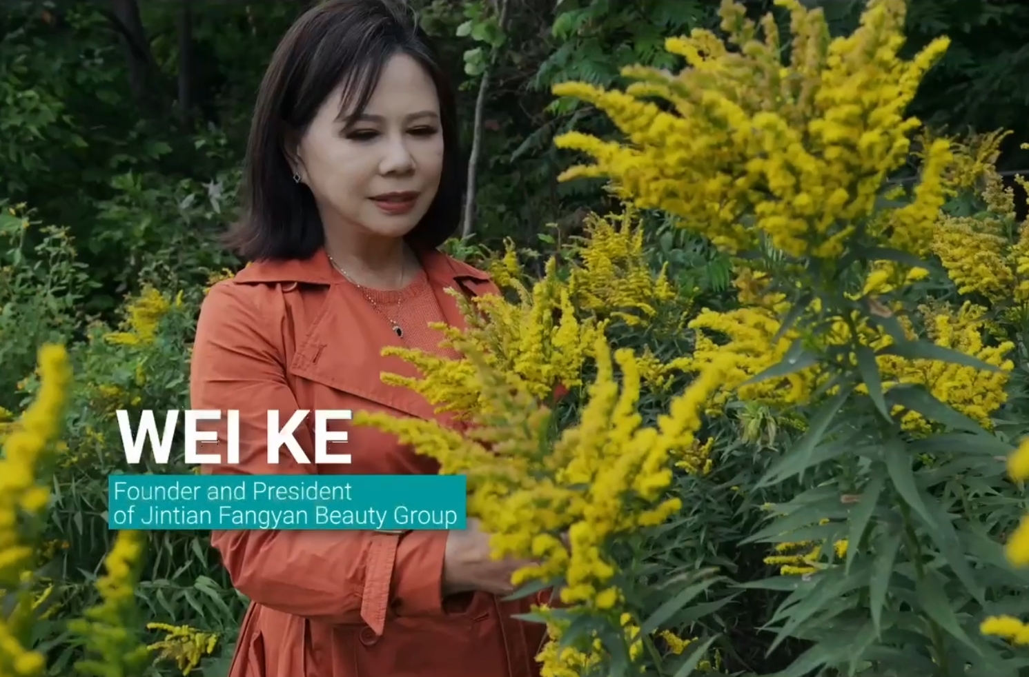 金天芳颜美业集团